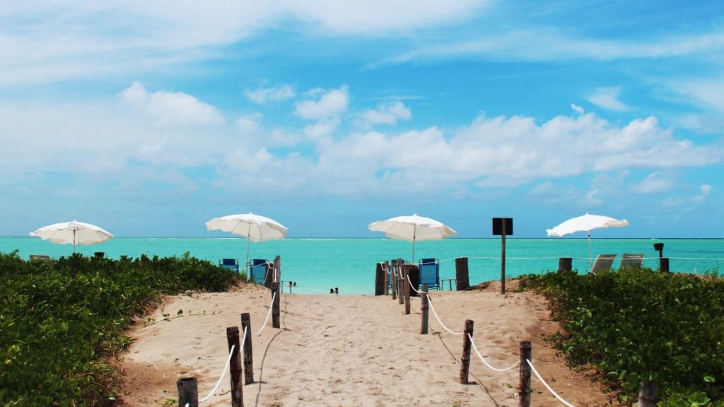 Praias Mais Amadas Do Brasil Para Sos Que Voc Precisa Conhecer