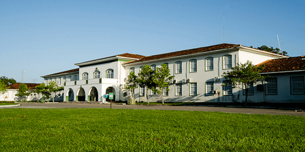 UFRA - Universidade Federal Rural da Amazônia - Série Você Sabia? - A  florada dos ipês na Amazônia