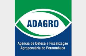 Edital Adagro publicado com 140 vagas para técnico e auditor!