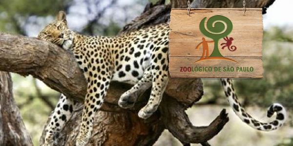 Fundação Parque Zoológico – SP abre concurso público