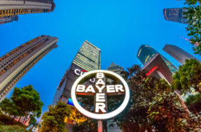 Bayer oferece vagas de emprego para profissionais de diversas áreas