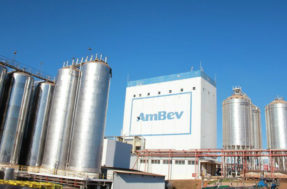 Ambev oferece mais 300 vagas de emprego para diversos cargos da empresa