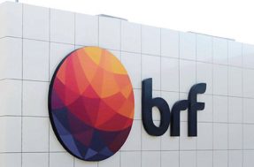 BRF contrata recém-formados com salário de R$ 6.500 e benefícios