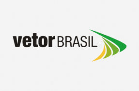 Programa de trainee do Vetor Brasil tem salário em torno de R$ 4 mil