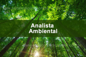 Edital Analista Ambiental: Último dia de inscrições para 50 vagas