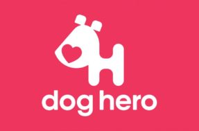 DogHero, app de hospedagem e passeios para cachorros, oferta vagas de emprego em SP