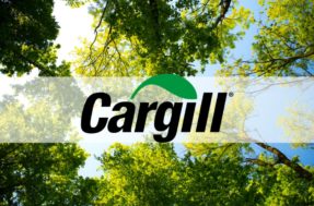 Cargill anuncia 49 novas vagas de emprego; Inscrições pela internet