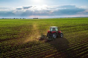 Plano Safra: governo destina R$ 364,22 bilhões para o agronegócio