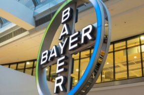 Bayer oferece mais de 150 vagas em estágio. Ganhos de R$ 1.700