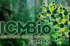 ICMBio abre processo seletivo no Amapá