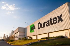 Duratex autoriza pagamento de JCP de R$ 0,3143 por ação