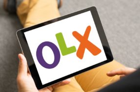 Quer um emprego na OLX? Empresa tem 225 vagas abertas no Brasil