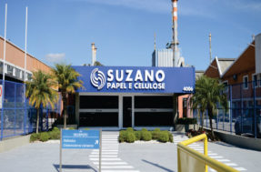 Suzano (SUZB3) espera receber R$ 4,9 bilhões em investimentos no próximo ano