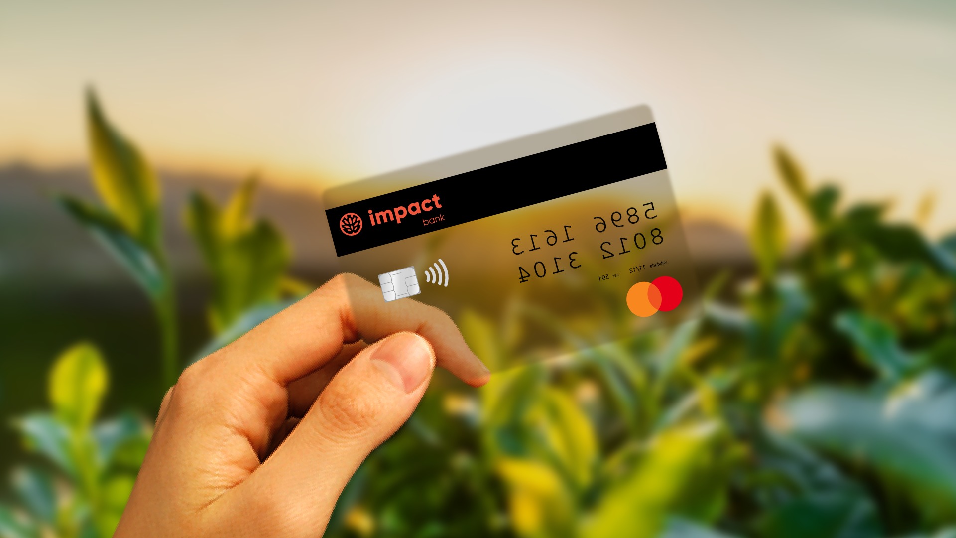 Cartão Impact Bank