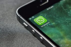 WhatsApp testa recurso que promete revolucionar o uso do aplicativo