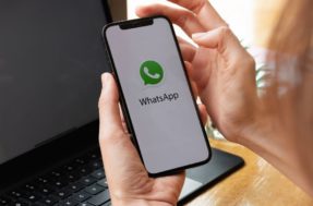 Empresa alerta para falha de segurança no WhatsApp Web