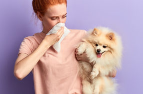Aprenda: Truques caseiros para remover o mal cheiro da casa causados pelos cães