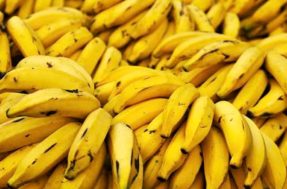 4 Maneiras de conservar banana madura e evitar que a fruta estrague