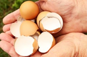 Aprenda truque inusitado para usar cascas de ovos na limpeza da cozinha