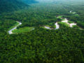 Amazônia