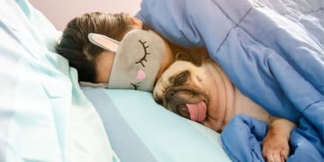 Cachorro dormindo na cama