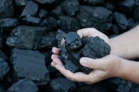 Aprenda a fazer um poderoso adubo utilizando carvão
