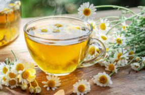 Conheça os inúmeros benefícios do chá de camomila, forma natural de tratar doenças inflamatórias