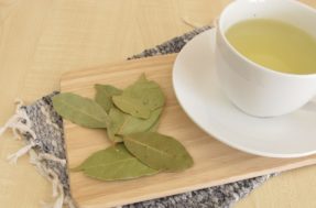 Chá de folha de louro: como são liberados seus compostos ativos no corpo