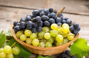 Frutas cítricas que fortalecem sistema imunológico: as 5 que não podem faltar na dieta