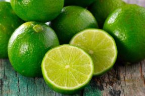 Conheça os benefícios do limão, fruta que aumenta a imunidade e melhora a saúde respiratória