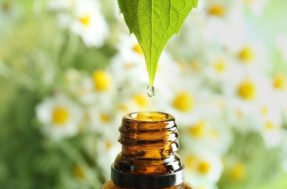 Aromaterapia: descubra quais óleos essenciais trarão boa energia para o ano novo