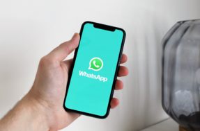 WhatsApp quer que usuário não se esqueça desta informação