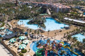Guia para aproveitar o maior e melhor parque aquático de frente para a praia: Beach Park