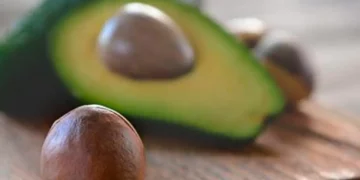 Alerta saúde: ISSO é o que acontece ao comer abacate todos os dias