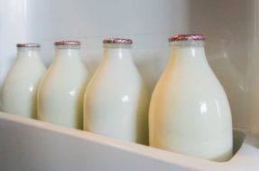 Mito ou verdade: É errado guardar o leite na porta da geladeira?