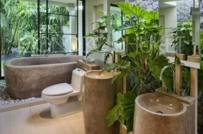 Decoração com plantas: 5 espécies perfeitas para purificar seu banheiro