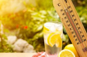 Sem ar-condicionado: confira dicas para refrescar a casa e o corpo durante o calor