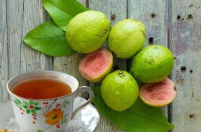Conheça os benefícios do poderoso chá de goiaba e para que ele serve