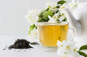 Confira os inúmeros benefícios do Chá de jasmim para a sua saúde e porque essa bebida deveria ser consumida diariamente