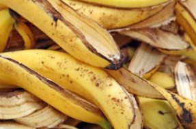 Não jogue mais fora: Benefícios milagrosos da casca de banana que você não conhecia