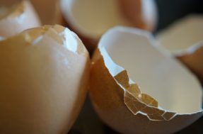 Não jogue fora: 3 utilidades da casca de ovo que fazem milagres em casa