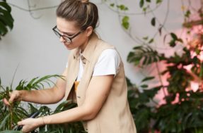 4 erros comuns nos cuidados com as plantas que você comete e podem matá-las