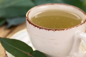 Aprenda a fazer chá de eucalipto para melhorar a saúde do corpo