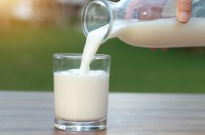 Adultos devem tomar leite: entenda os motivos