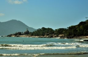Litoral Norte de SP: 5 praias para relaxar e curtir a natureza