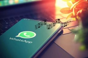 Aprenda a colocar sua música favorita no status do WhatsApp