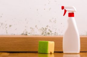 Solução antimofo caseiro: descubra como acabar de vez com o mofo em sua casa