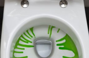 Vaso sanitário entupido: descubra como resolver o problema em casa