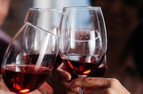 É possível incluir vinho na dieta para emagrecer: mito ou verdade?