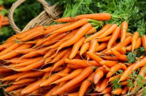 Aprenda a escolher as melhores cenouras na hora da compra